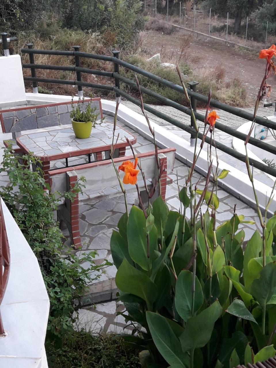 אסטריס Villa Oliva מראה חיצוני תמונה